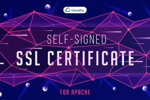 Cách tạo chứng chỉ SSL tự ký cho Apache trong Ubuntu 18.04