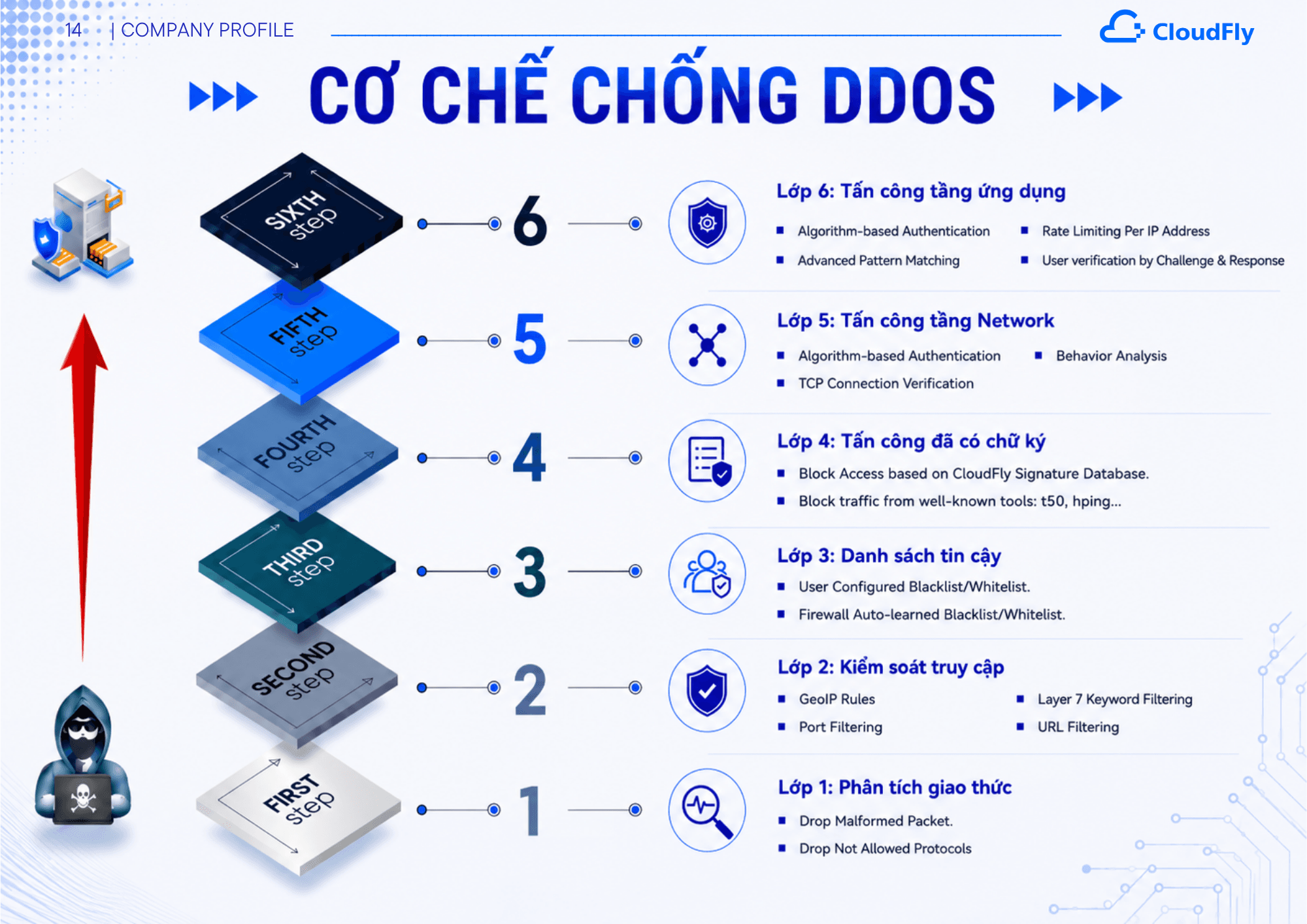 cloudfly-profile-15