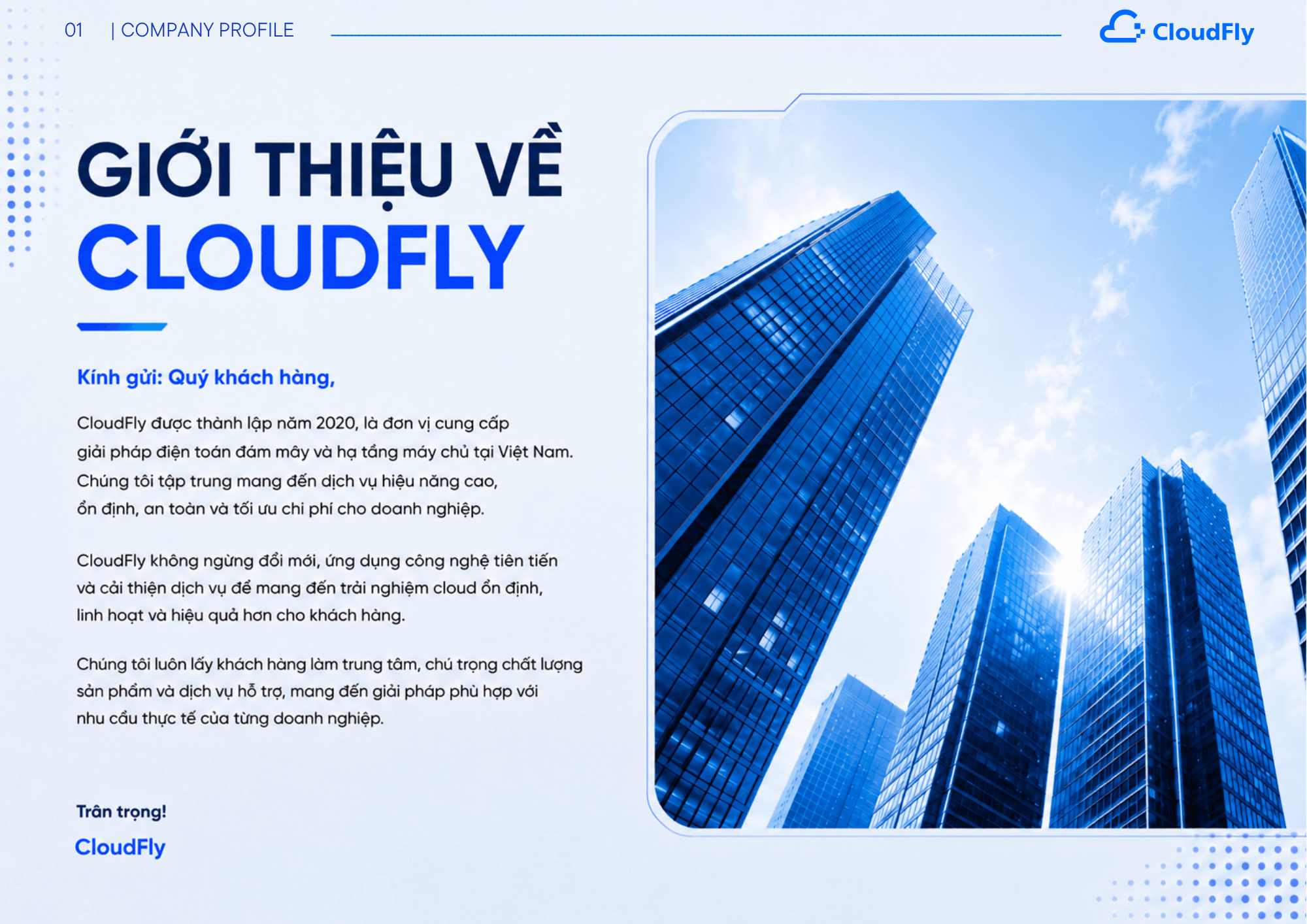 cloudfly-profile-2