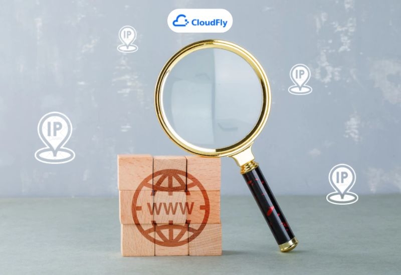 check domain ip
