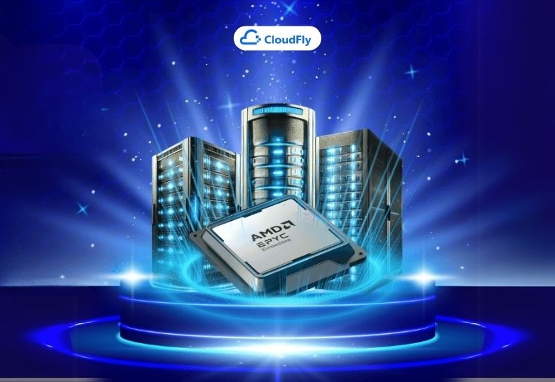 hosting amd hiệu suất vượt trội