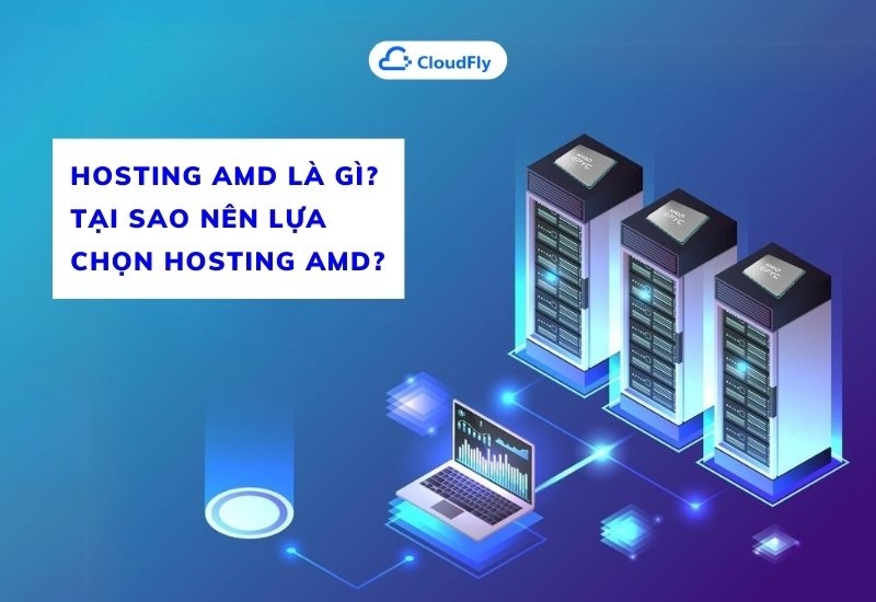 hosting amd là gì