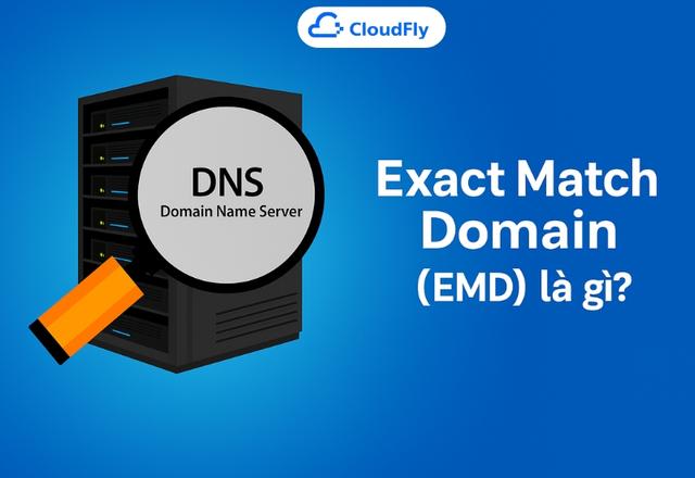 Exact Match Domain là gì EMD còn hiệu quả với SEO năm 2025 không