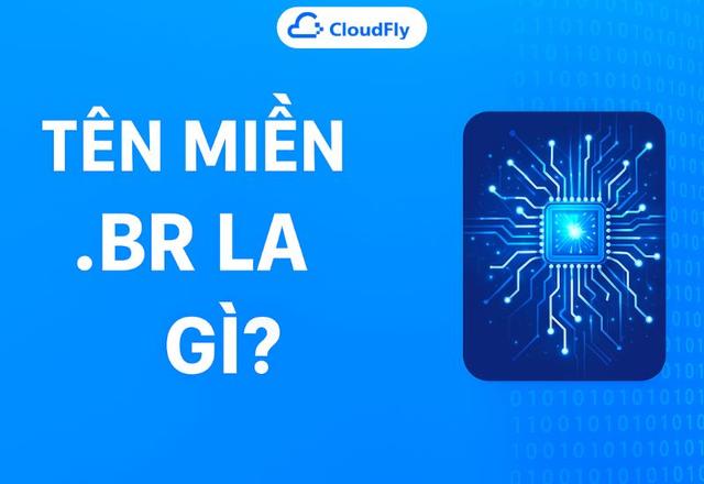 Tên miền br là gì Toàn bộ kiến thức cần biết trước khi đăng ký tên miền Brazil