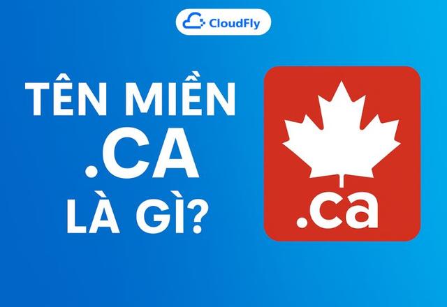 Tên miền ca là gì Ưu điểm điều kiện đăng ký và hướng dẫn chi tiết cho người mới