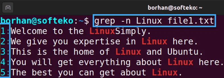 các cách sử dụng lệnh grep 2