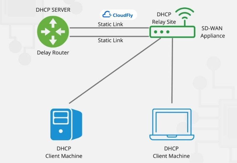 các cấu trúc thành phần trong giao thức dhcp là gì