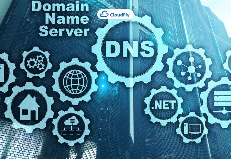 các loại server hoạt động trọng dns là gì