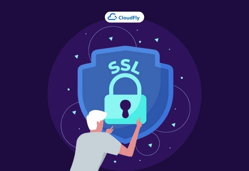 cách cập nhật và duy trì ssl