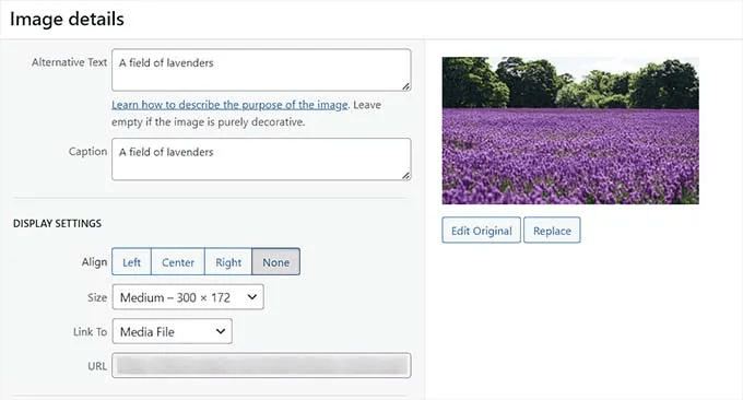 cách thêm hình ảnh vào wordpress bằng classic editor 4
