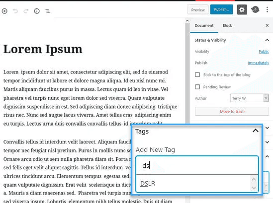 cách thêm tag trong wordpress 2