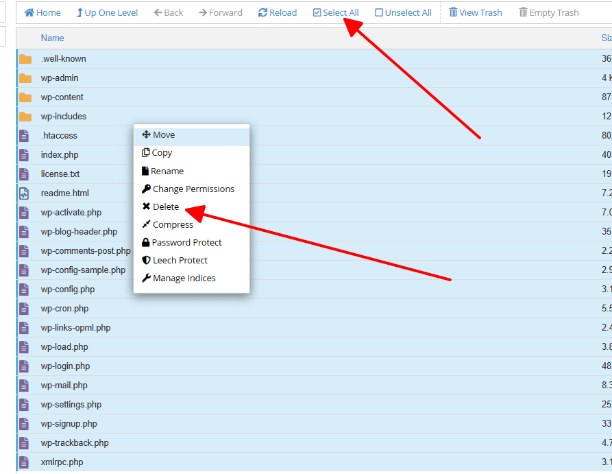 cách xóa trang web trên cpanel 5