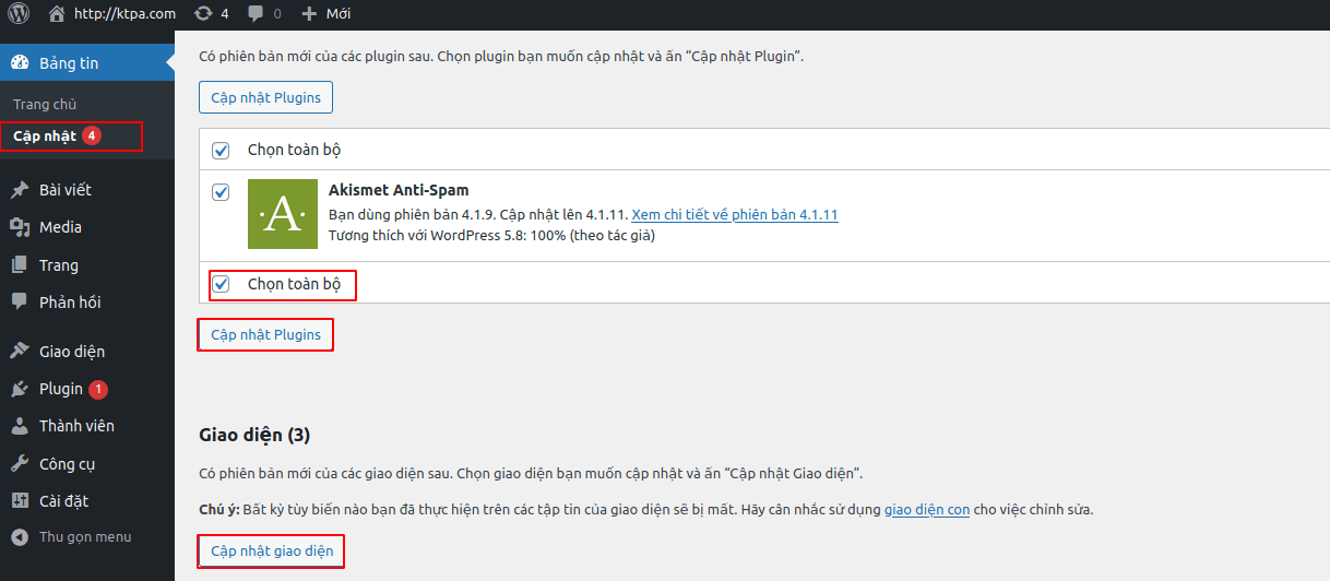 cập nhật phiên bản plugin và theme