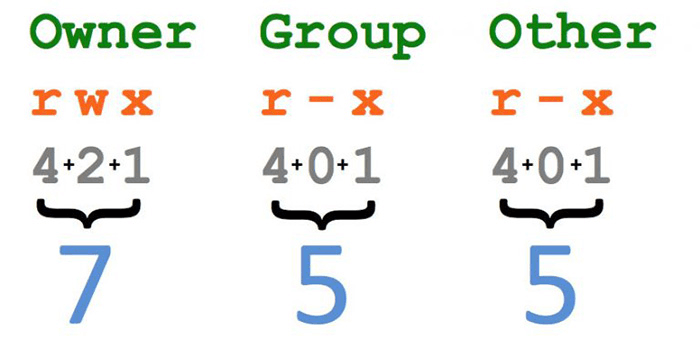cấu trúc chỉ số phân quyền trên linux