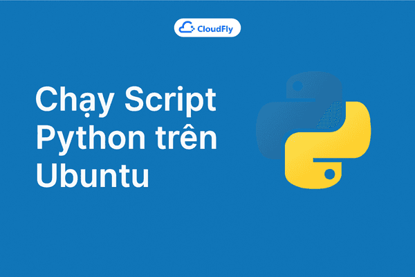 Chạy Script Python trên Ubuntu Hướng dẫn Toàn diện