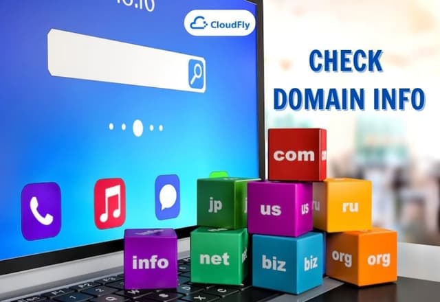 Cách Check Domain Info Bằng Whois