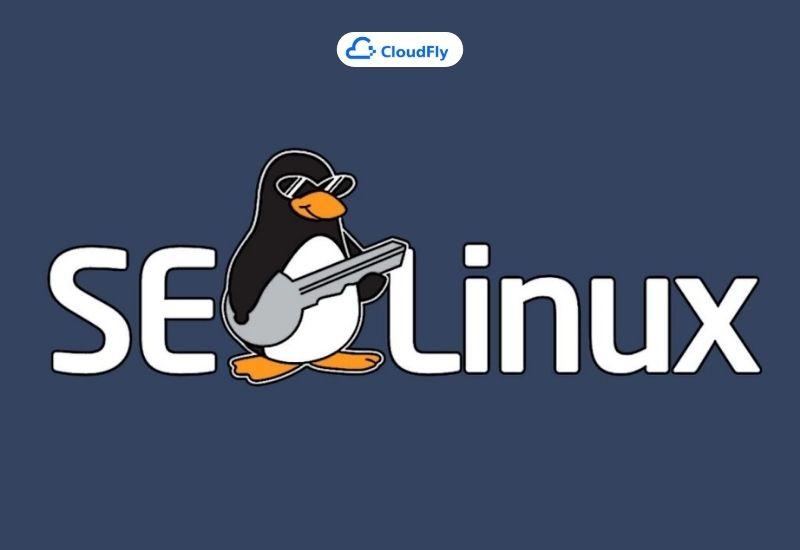 cơ chế bảo mật của selinux là gì