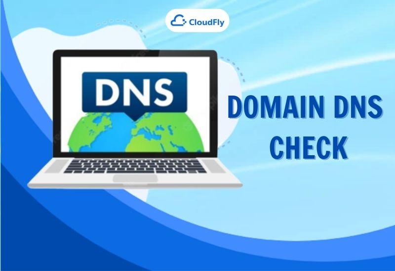 domain dns check