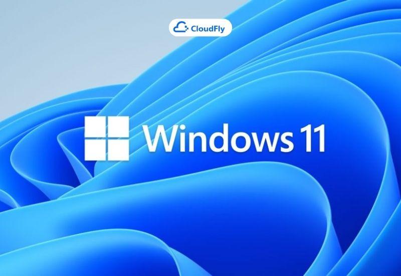 hệ điều hành windows 11