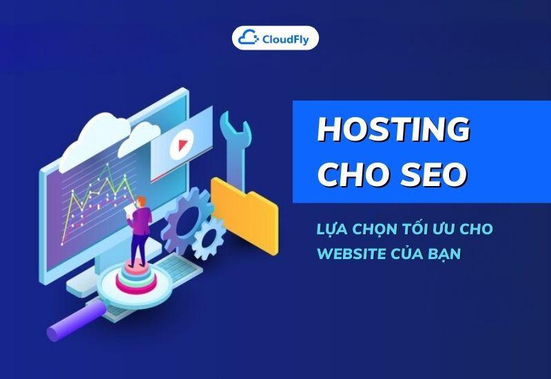 hosting cho seo lựa chọn tối ưu cho website của bạn