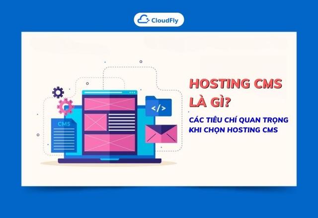 Hosting CMS Là Gì? Các Tiêu Chí Quan Trọng Khi Chọn Hosting CMS