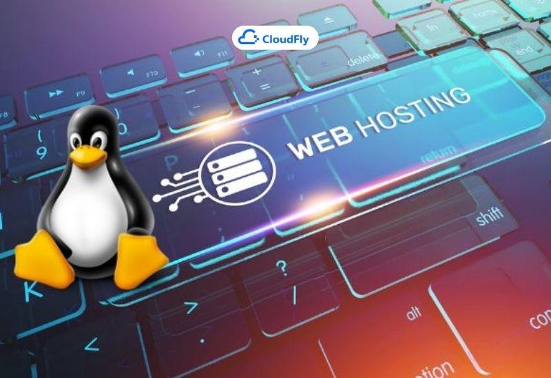 hosting linux hỗ trợ kỹ thuật nâng cao