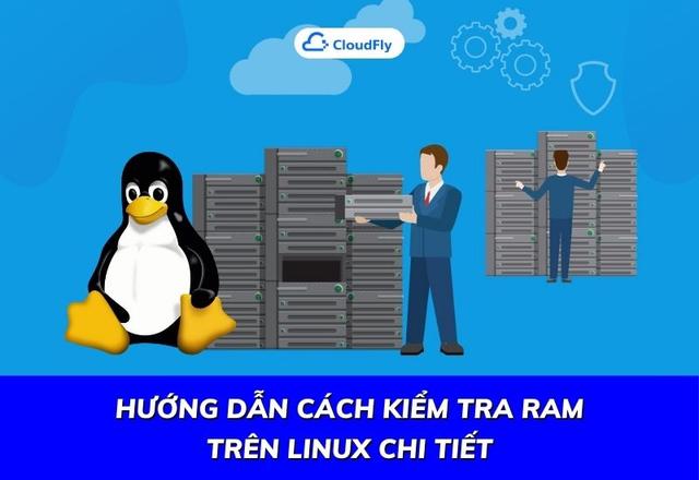 Hướng Dẫn Cách Kiểm Tra RAM Trên Linux Chi Tiết