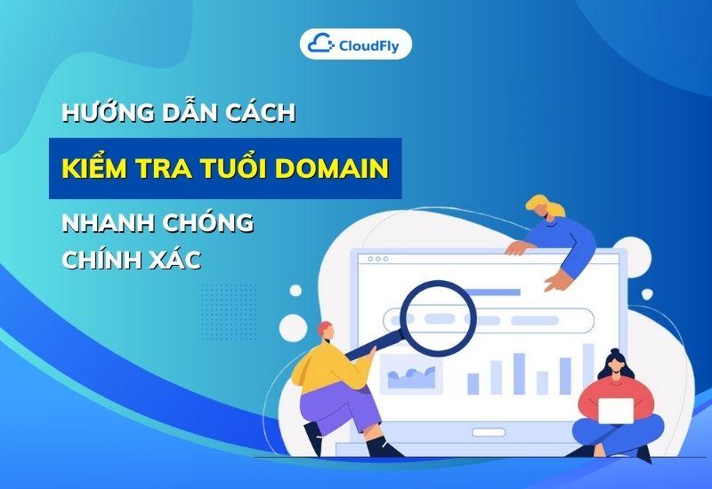 hướng dẫn cách kiểm tra tuổi domain nhanh chóng chính xác