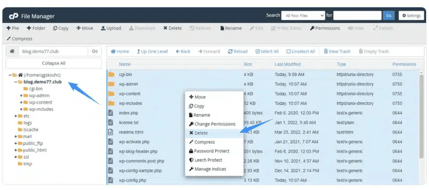hướng dẫn cách reset hosting cpanel thủ công 2