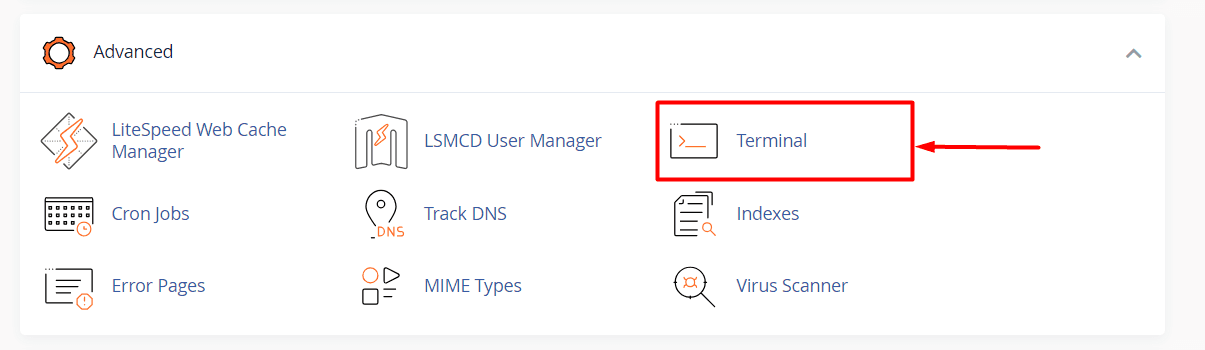 hướng dẫn kích hoạt sshshell access trong cpanel 11