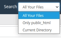 hướng dẫn sử dụng file manager trên cpanel hosting 17