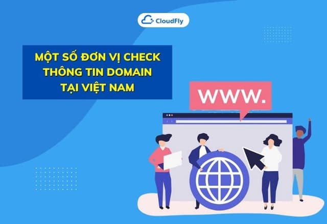 Một Số Đơn Vị Check Thông Tin Domain Tại Việt Nam