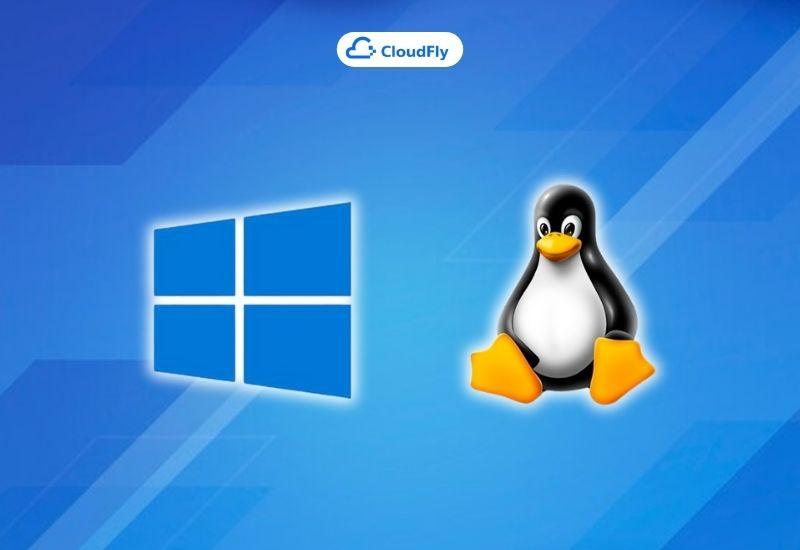 nên chọn hosting linux hay hosting windows