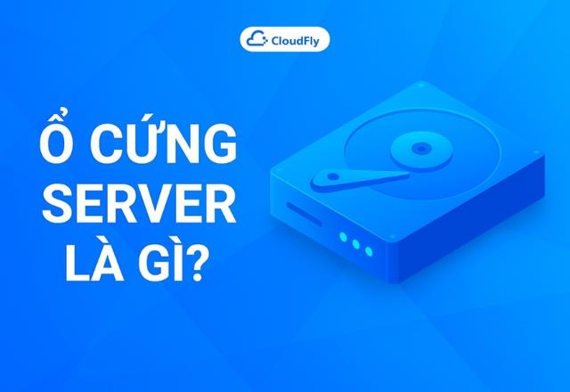 Ổ Cứng Server Là Gì? Cách Chọn Ổ Cứng Phù Hợp C...