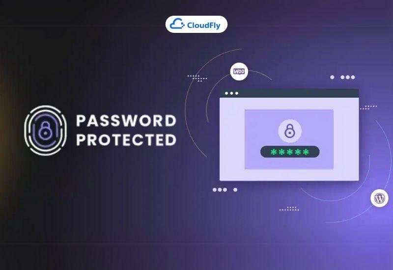 plugin chống copy wordpress password protected