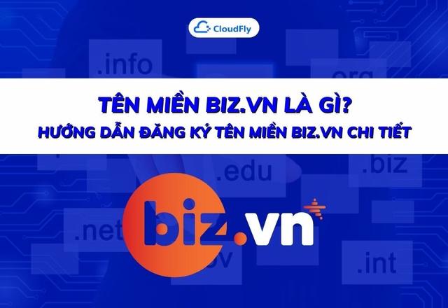 Tên Miền BIZVN Là Gì Hướng Dẫn Đăng Ký Tên Miền BIZVN Chi Tiết