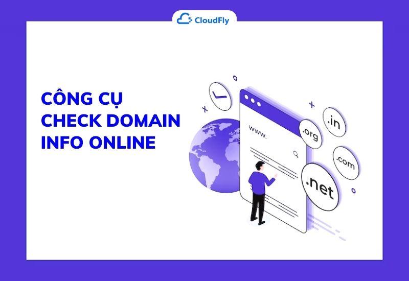 tìm hiểu về công cụ check domain info online