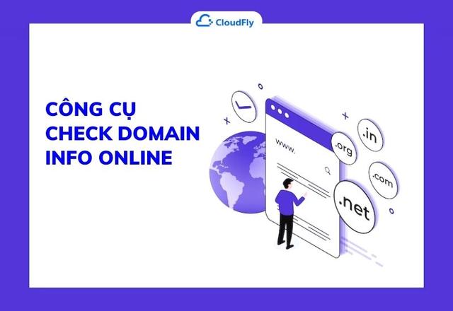 Tìm Hiểu Về Công Cụ Check Domain Info Online