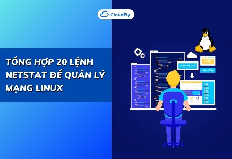 tổng hợp 20 lệnh netstat để quản lý mạng linux