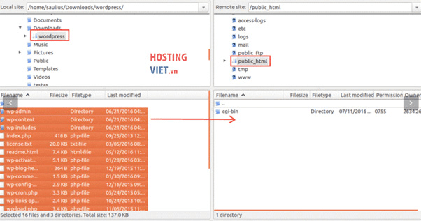 up code lên host qua file transfer protocol 2