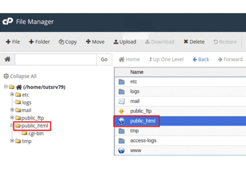 up source lên host qua file manager 4