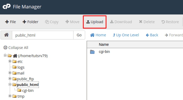 up web lên host qua cpanel file manager 3