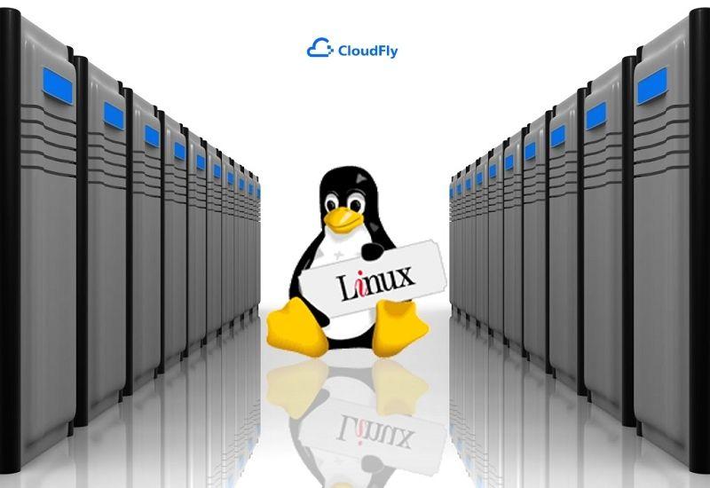 ưu và nhược điểm của hosting linux