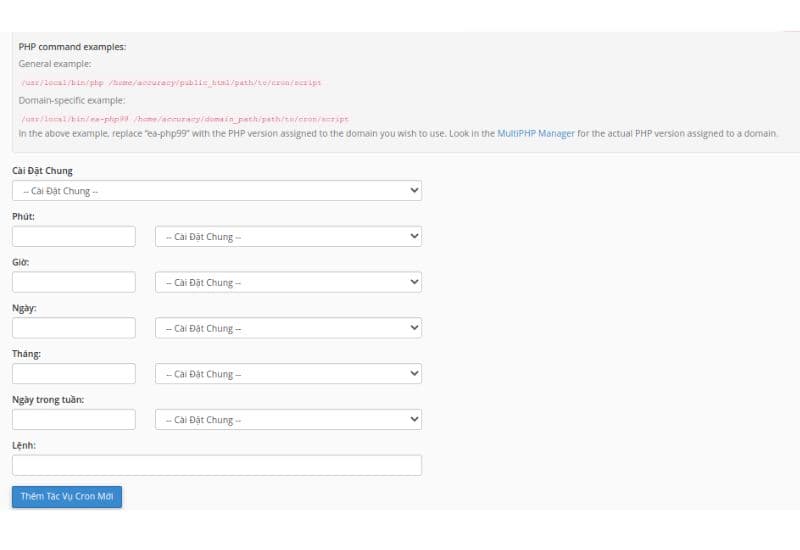 hướng dẫn sử dụng cron jobs trên cpanel 4