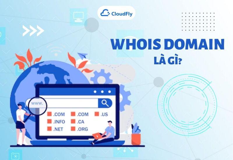 whois domain