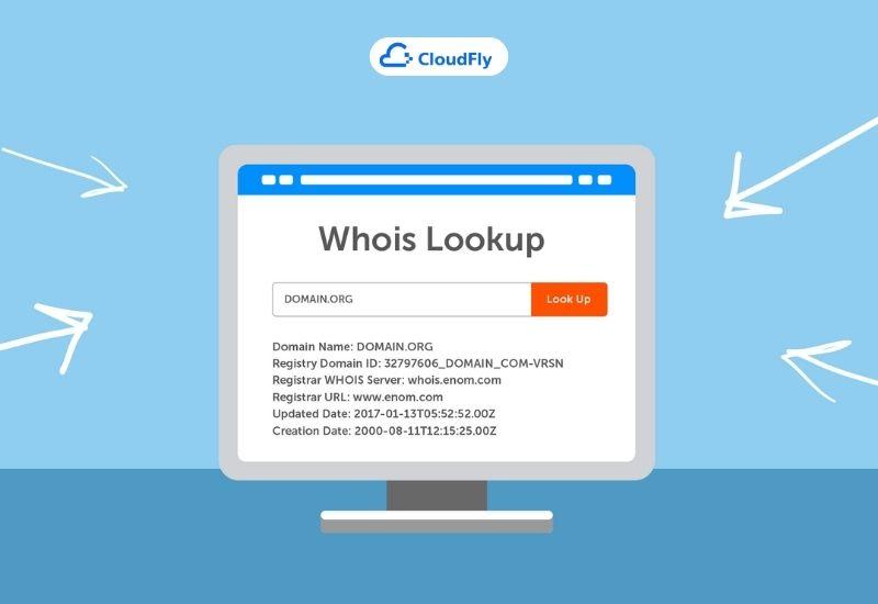 whois việt nam cung cấp những thông tin gì