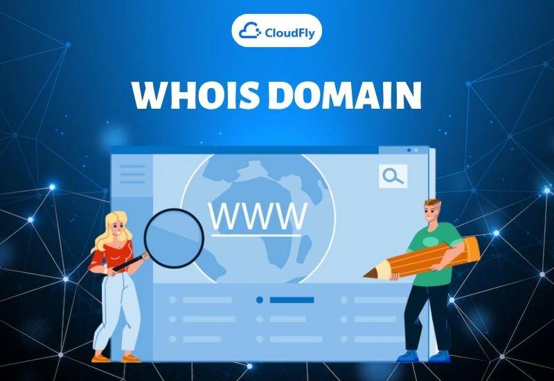whois domain
