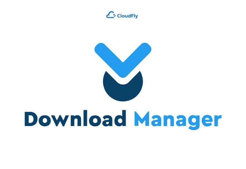 wp download manager