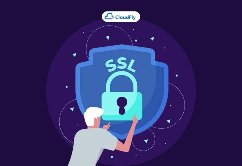 cách cập nhật và duy trì ssl
