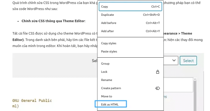 cách chỉnh sửa code html trong wordpress 3